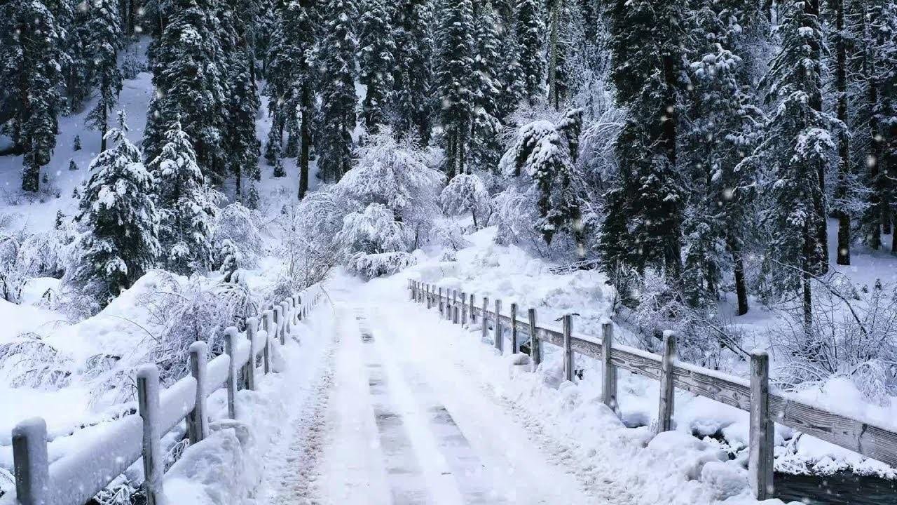 Murree